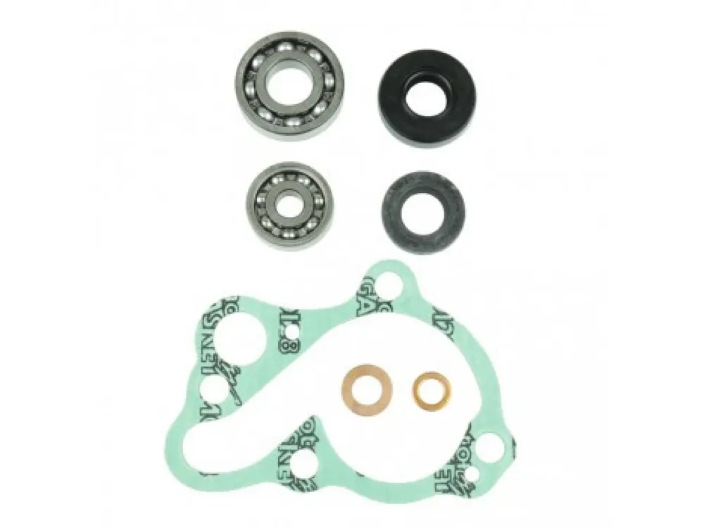 Water pump gasket kit ATHENA P400210475014 Plată securizată