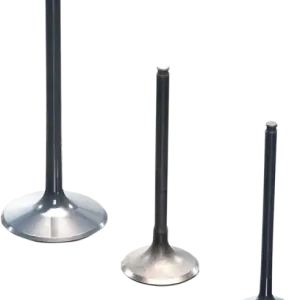 Valve Ex Titan Ltr450 06-11 Preț mic