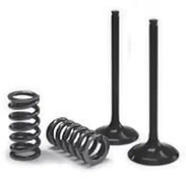 Set de supape și arcuri, negru Cumpără online