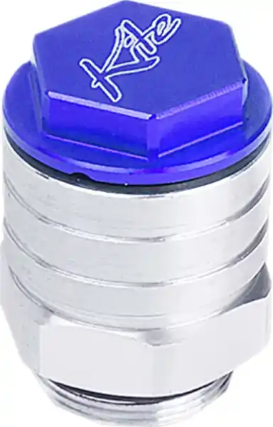 Mai ieftin Rear Brake Oil Tanks Blue, Silver