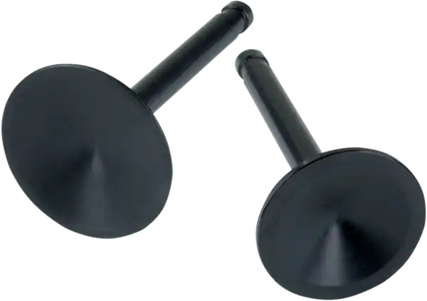 Replacement Valves Ultima șansă