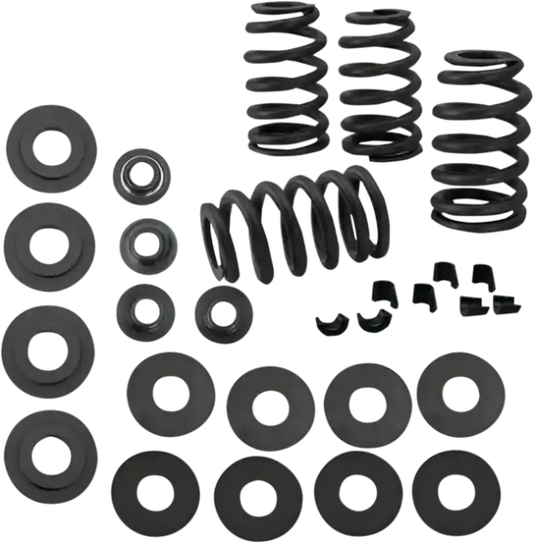 0.585” Valve Spring Kit Popular