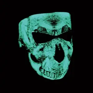 Face Mask Skull Face Glow Gray Cumpărături sigure