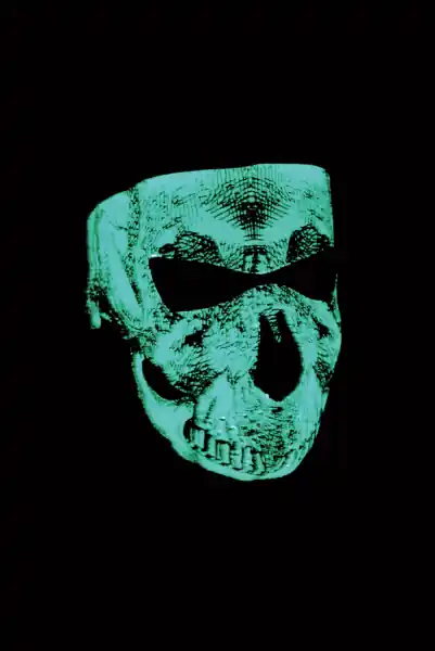 Face Mask Skull Face Glow Gray Cumpărături sigure