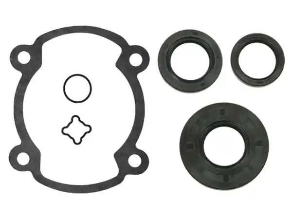 Popular Set complet Sno-X cu garnituri de ulei pentru Rotax 250 FC
