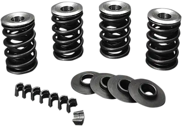 Valve Spring Kit 0 Preț promoțional