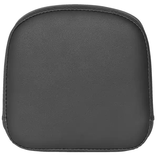 Bestseller Sissy Bar Pad For Roadsofa Black
