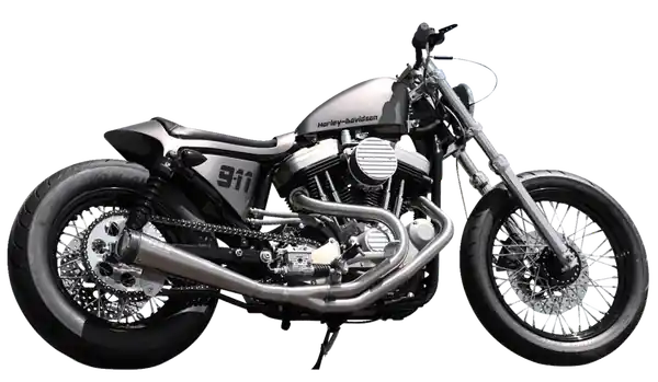 2-into-1 Megaphone Exhaust System Satin Reducere specială